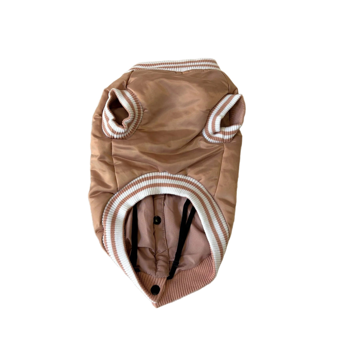 College Doggy University dog coat – 51 Degrees North.
