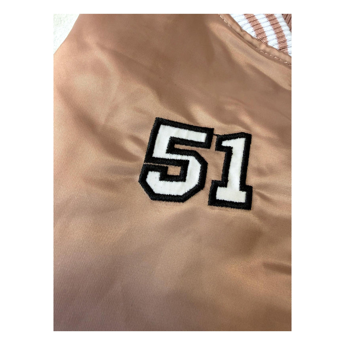 College Doggy University dog coat – 51 Degrees North.