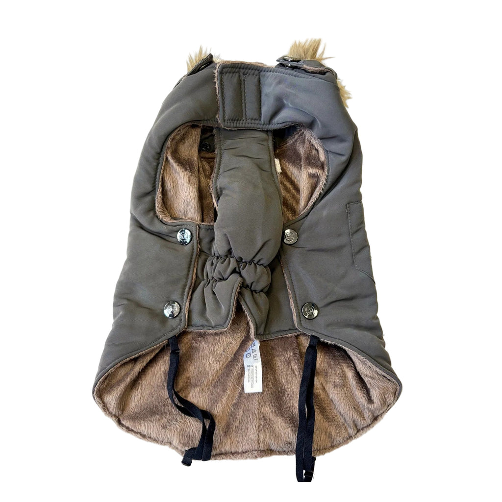 Aspen/Nomad Winter Dog Coat – 51 Degrees North