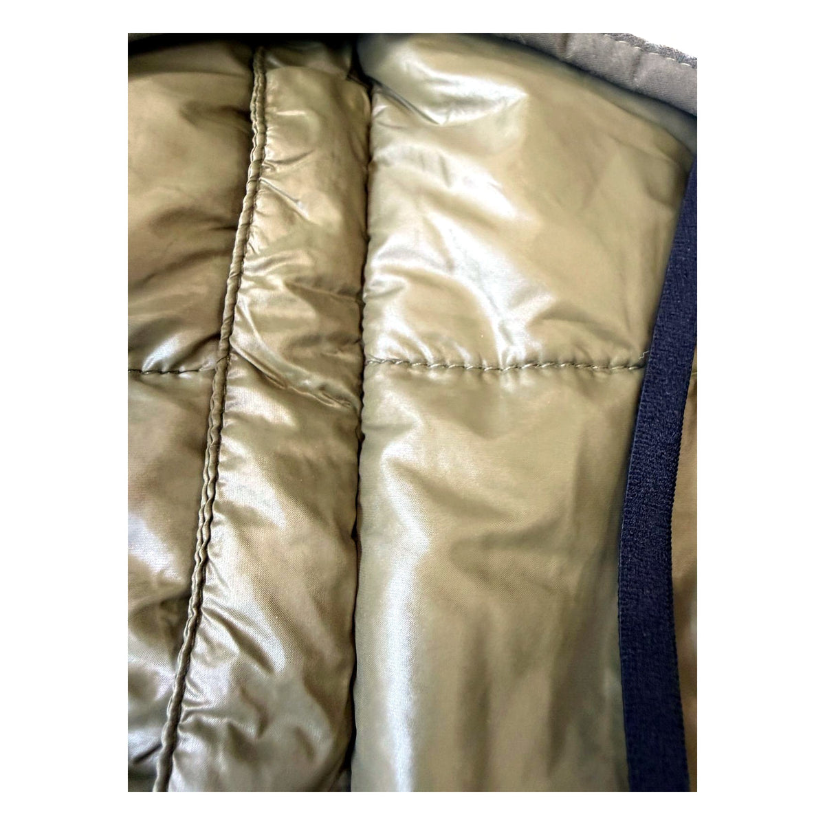 Manteau pour chien Jules avec harnais intégré – 51 Degrees North