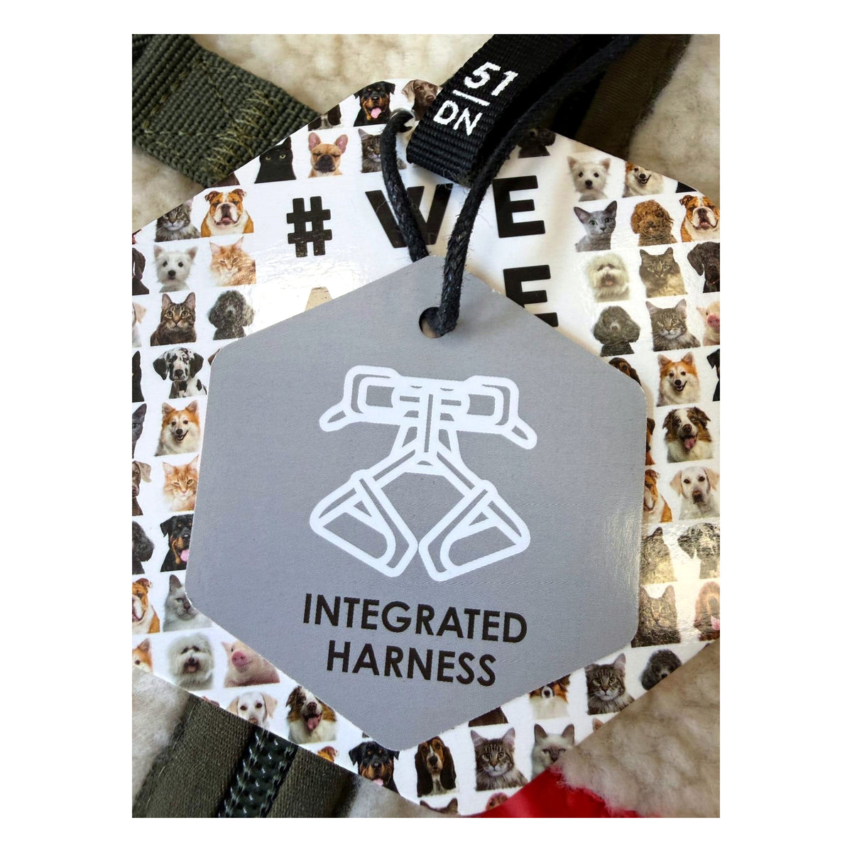 Manteau pour chien Jules avec harnais intégré – 51 Degrees North