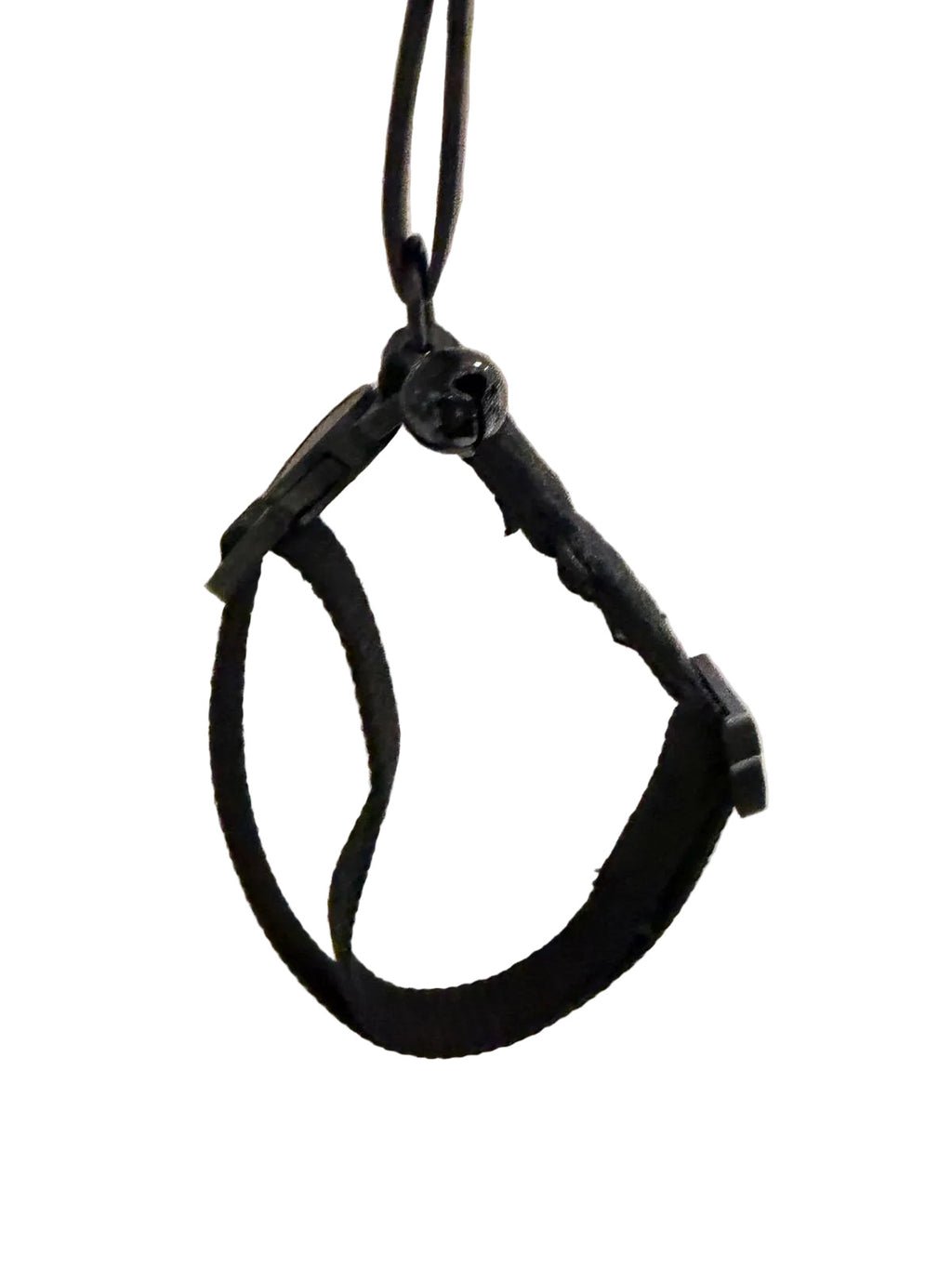 Collier pour chat House of Color – Jack & Vanilla