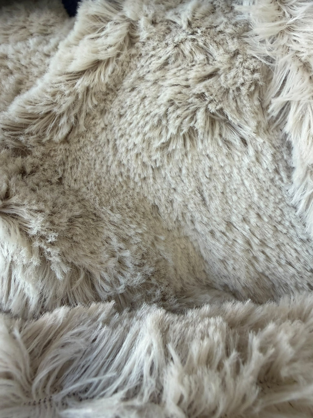 Manteau Velours Bleu pour chien – 51 Degrees North