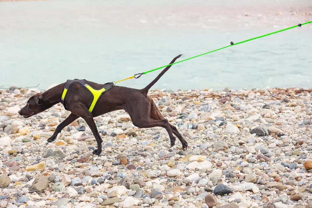 Canix Line tugline green – AXAECO