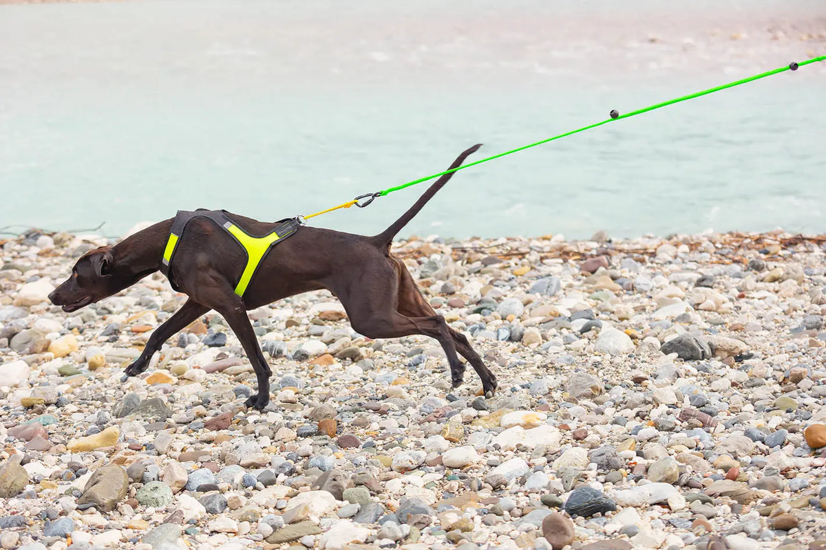 Canix Line tugline green – AXAECO