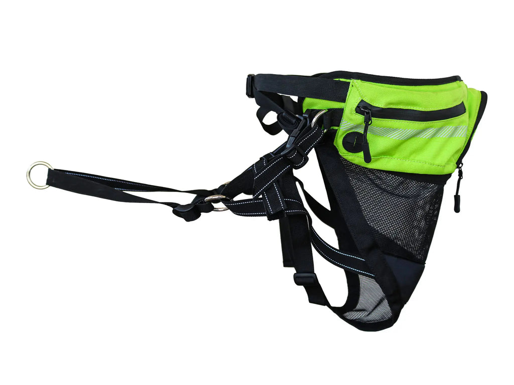 Explorer Belt – Axaeco