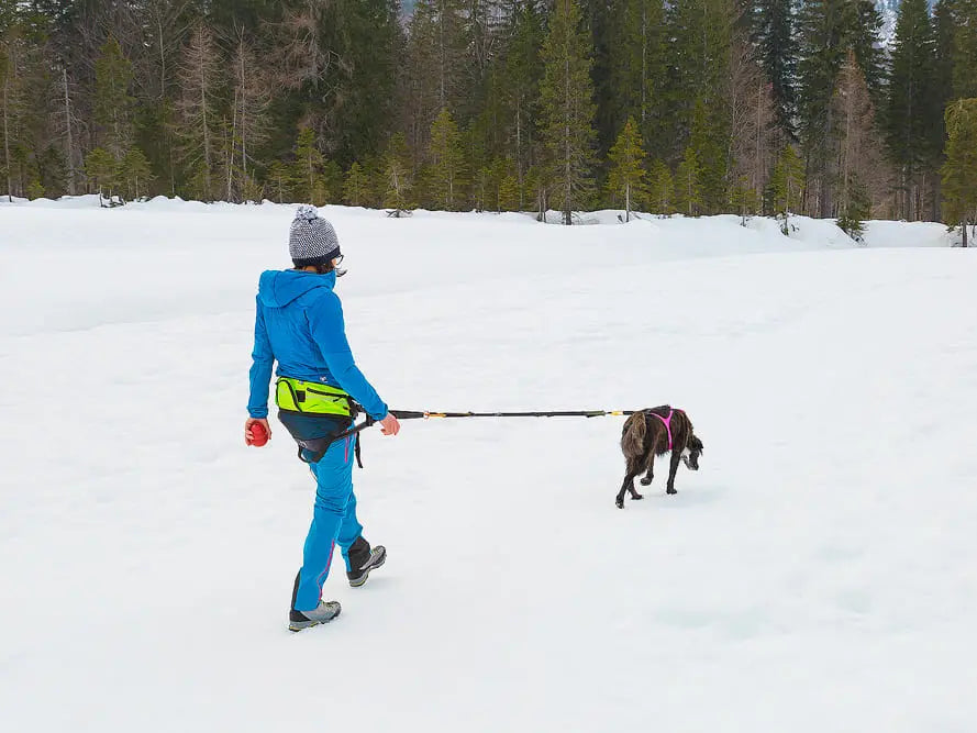 Explorer Belt – Axaeco