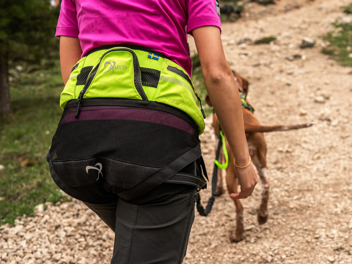 Explorer-Gürtel – Axaeco