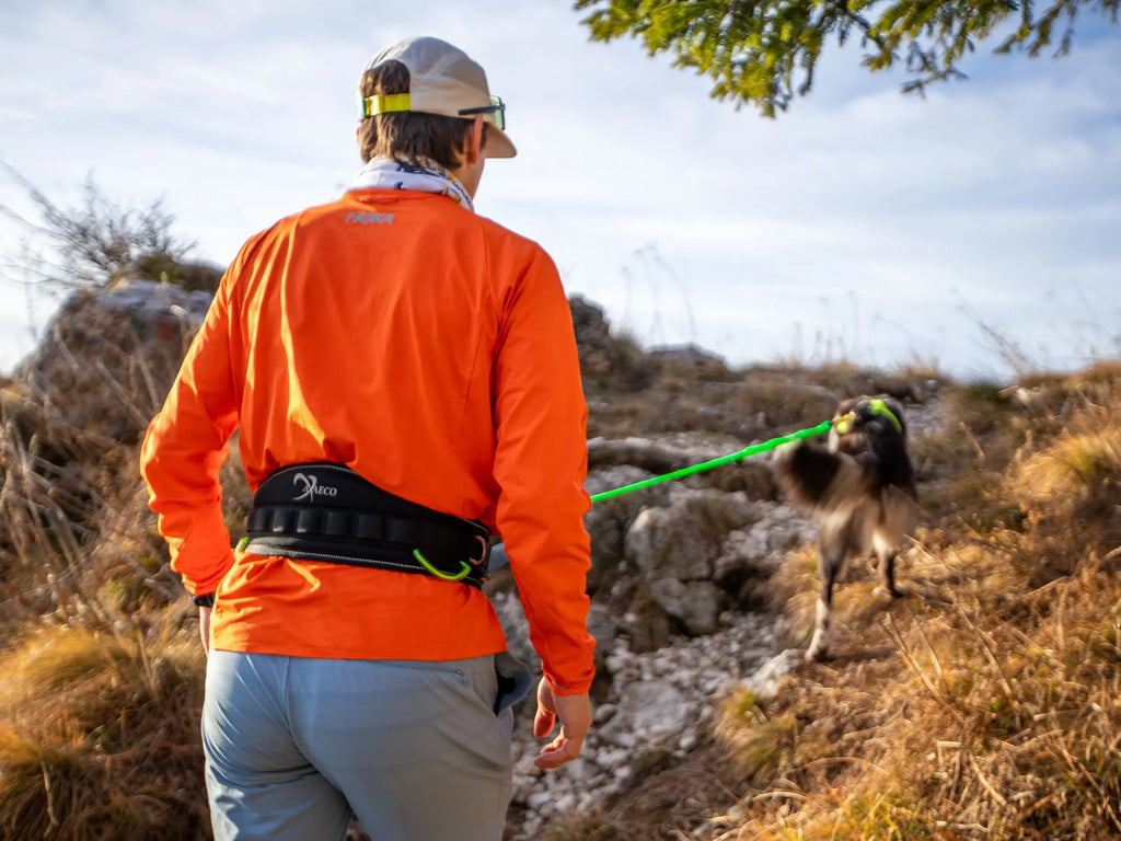 Ceinture de trekking pour chien – AXAECO Trekking Belt