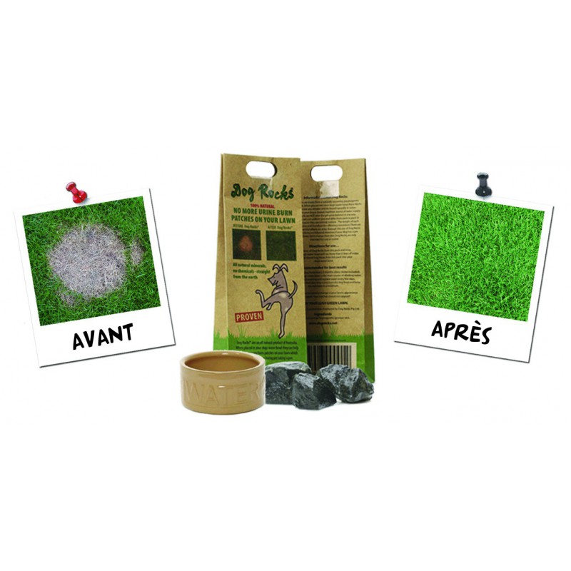 Dog Rocks – Pierres naturelles anti-taches d’urine