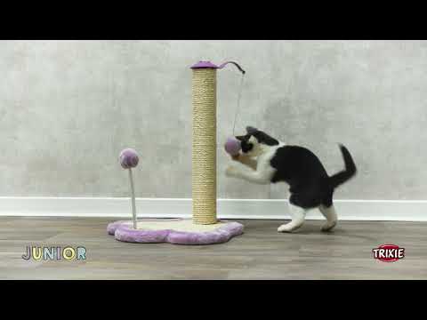 Griffoir chaton TRIXIE Junior mauve 47 cm avec jouets